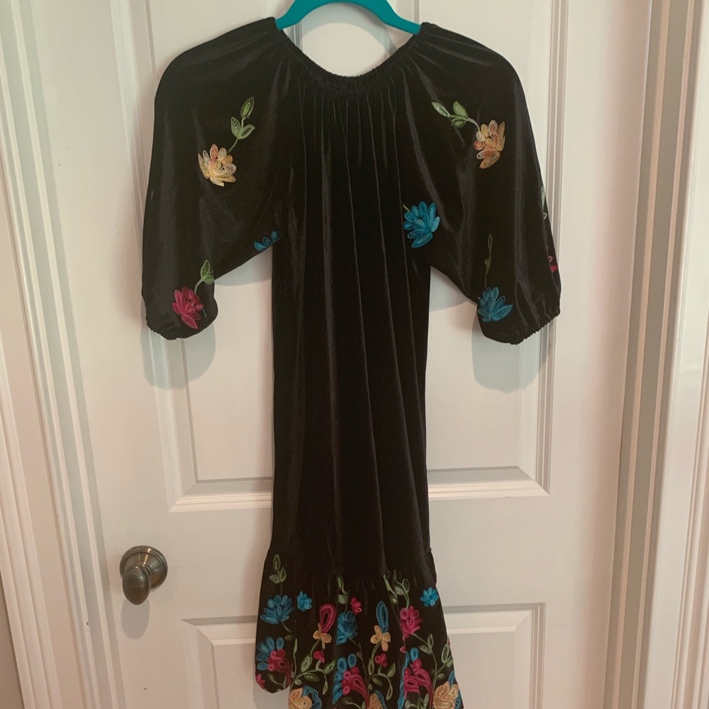 Chasing Fireflies Velvet Embroidered Dress